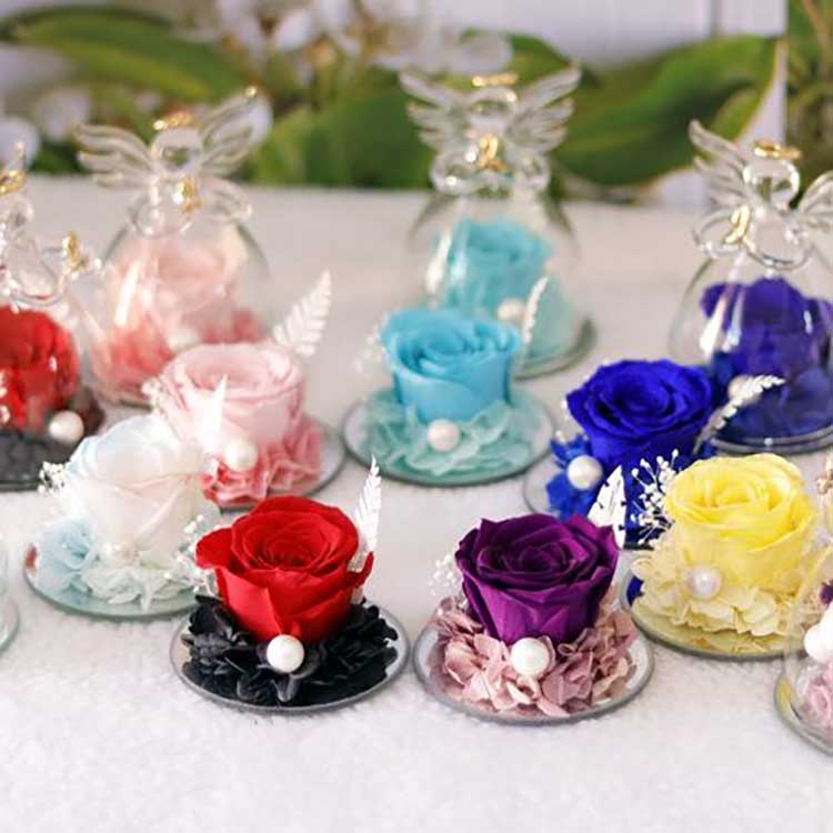 Angeliška amžinoji rožė