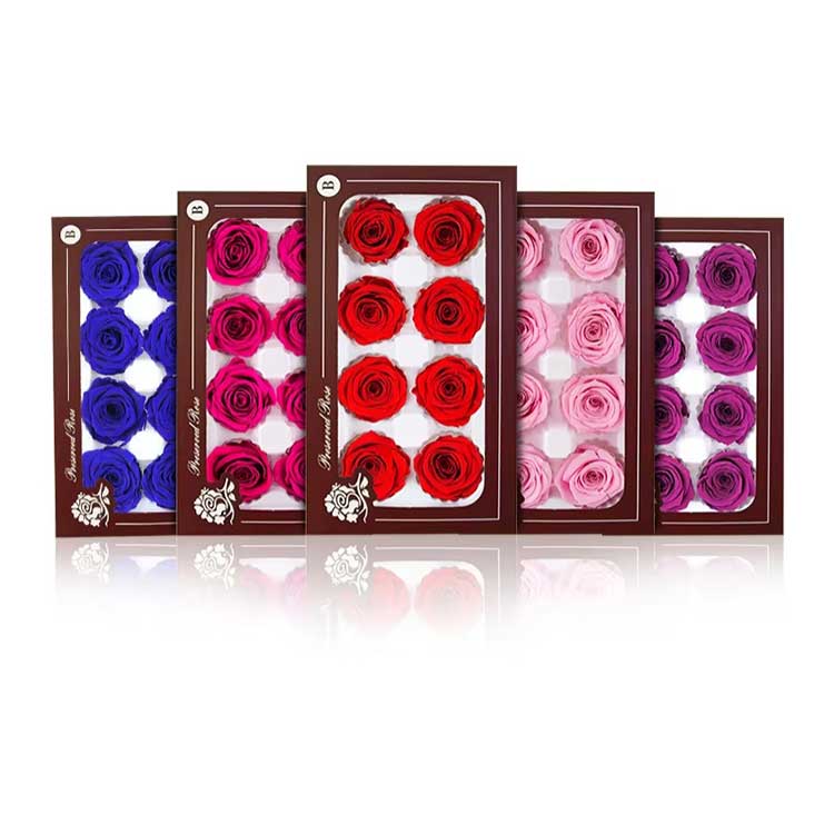 Everlasting Flower 8 gėlių rožių dovanų dėžutė