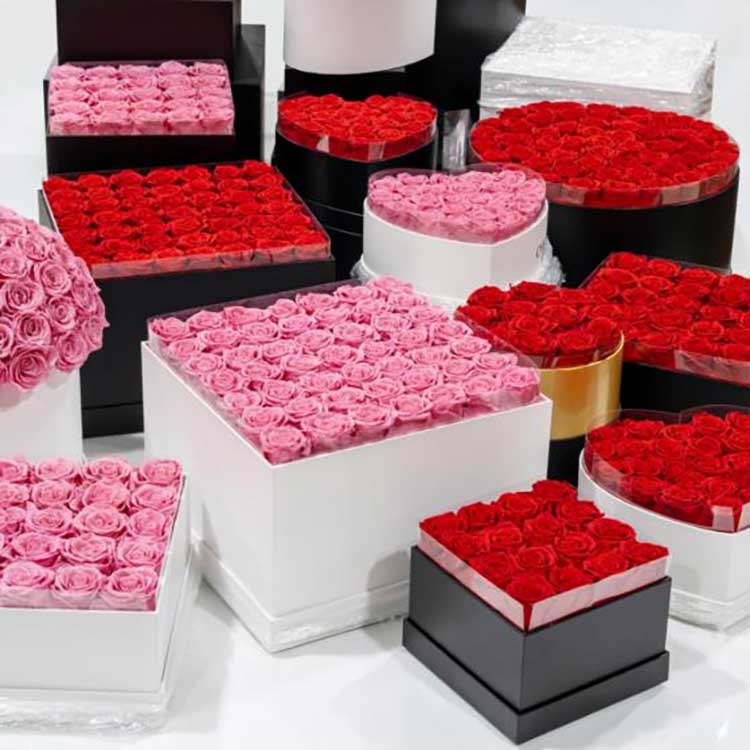 Konservuotų gėlių apkabinimo kibiras