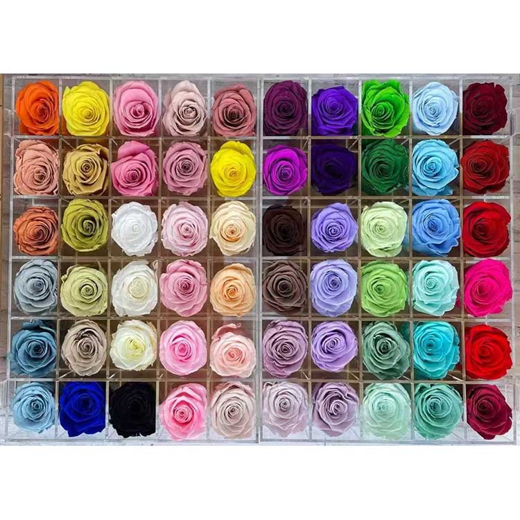 Konservuotos rožės