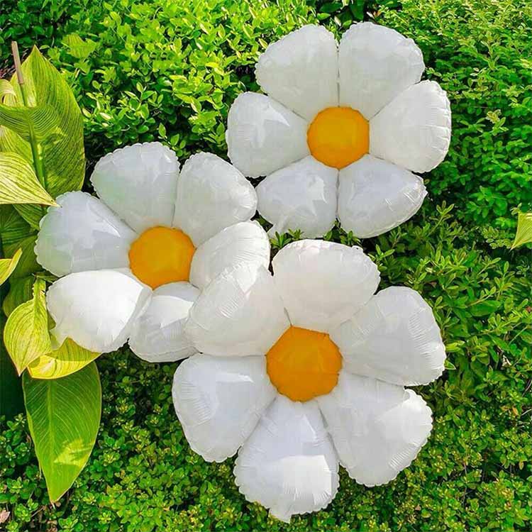 Šeši petalės ramunėlės folijos balionai